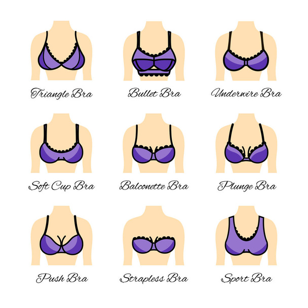 Icon tipes of bra. Kinds of bras - Vector, Image