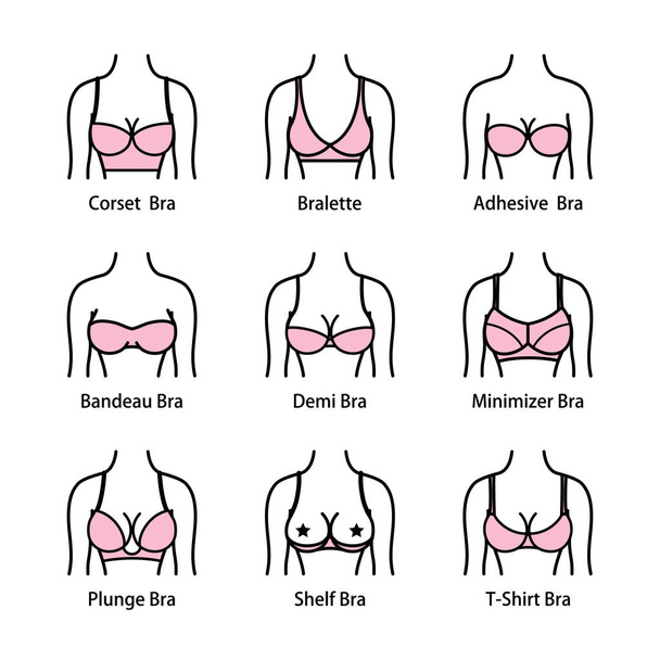 Icon tipes of bra. Kinds of bras - Vector, Image