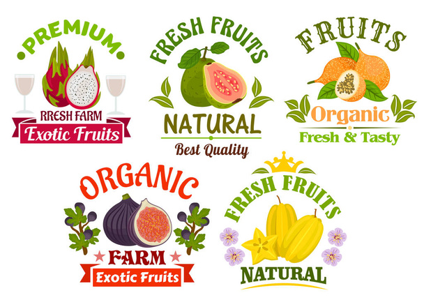 Fresh juicy natural organic fruits icons set - Vector, Image