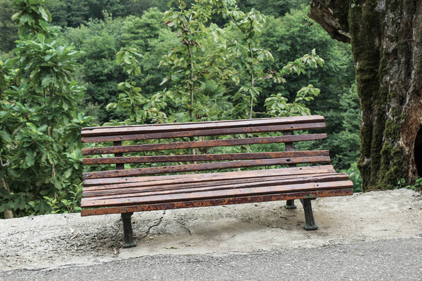 Деревянная скамейка в парке - Фото, изображение