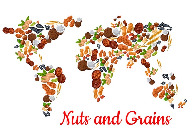 Nuts and grains in world map shape - Vector, Image