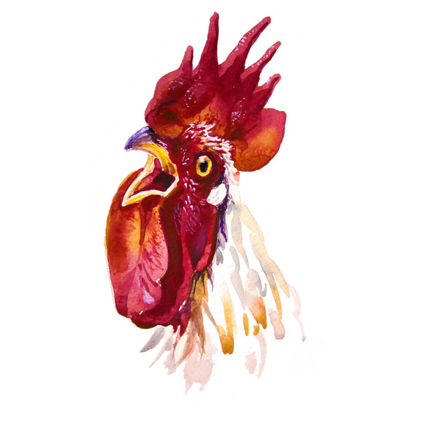 Rooster watercolor illustration for Chinese new year greeting card - Photo, Image