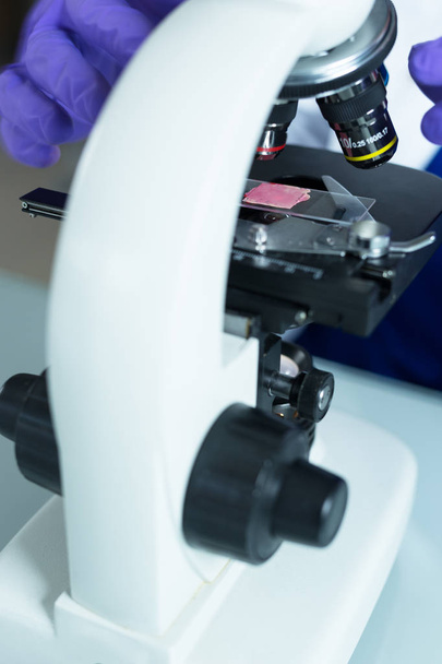 scientist working in laboratory - Photo, image