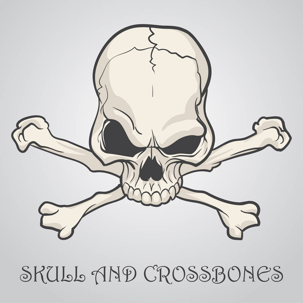 Cráneo y huesos cruzados sobre un fondo gris. Ilustración vectorial
 - Vector, Imagen