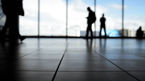 Passagiers volgen voor aanhouding met bagage voor raam in de luchthaven, silhouet - Video
