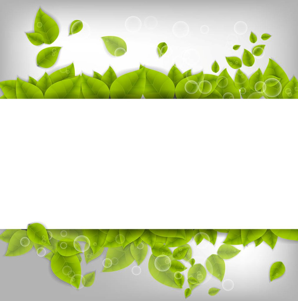 Realistic Leaves Background with Space - Vector, Image