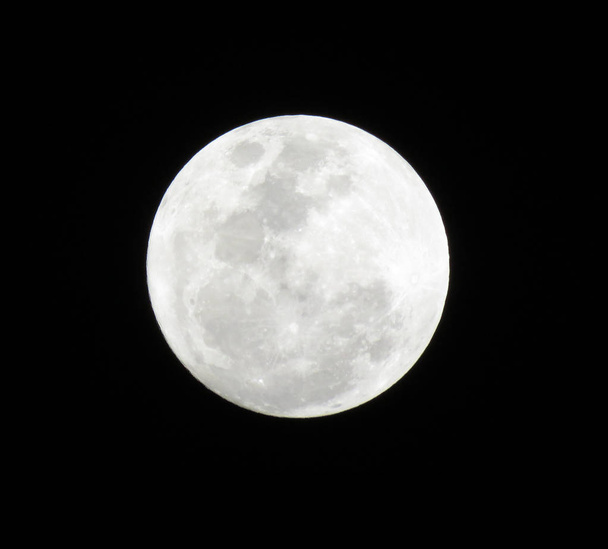クローズ アップで満月のビュー - 写真・画像
