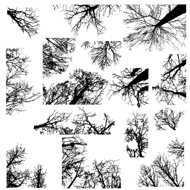 黒い木のシルエット - ベクター画像