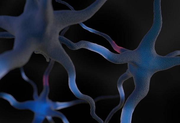 Aivoihin liitetyt neuronit 3d-kuva
 - Valokuva, kuva