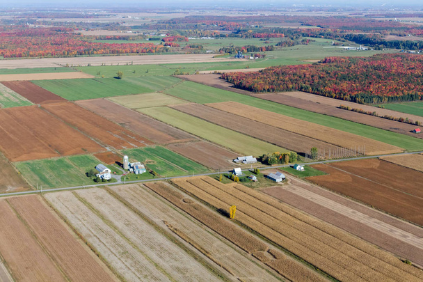 Landbouwgrond, luchtfotografie - Foto, afbeelding