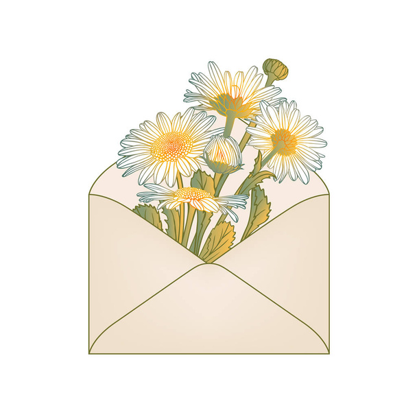 Envelope with white chamomile flowers - Vektor, kép