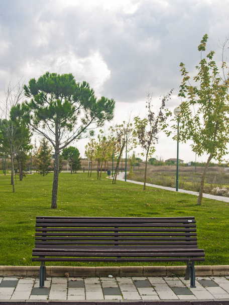 Dřevěná lavička v parku - Fotografie, Obrázek