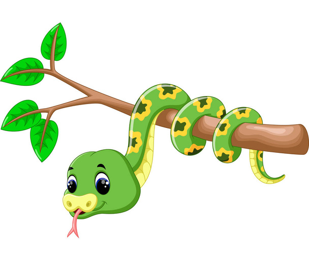 Cute green snake cartoon - Вектор,изображение