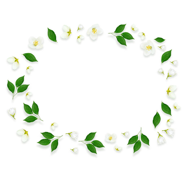 Zweig leuchtend weiße Jasminblüten. Federzusammensetzung. - Foto, Bild