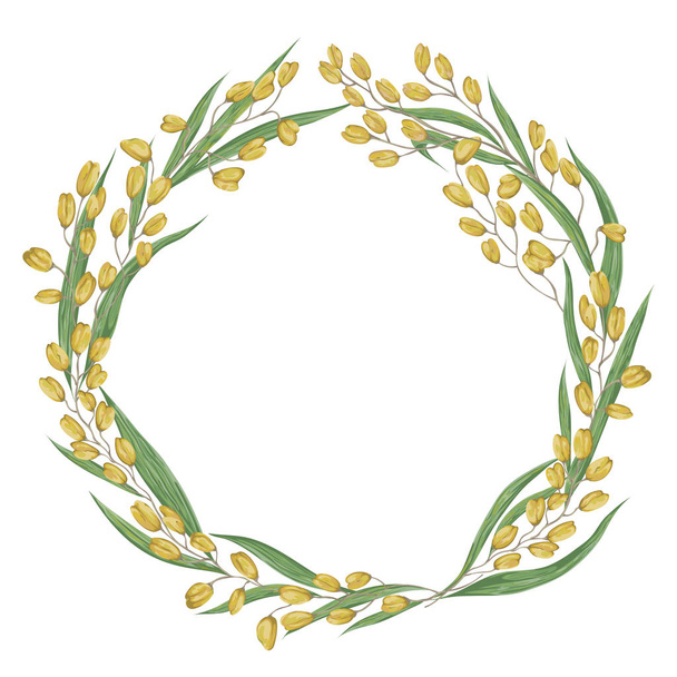 Wreath with rice. Collection grains, leaves and ears of rice on a white background. Isolated elements. Vintage hand drawn vector illustration in watercolor style. - Διάνυσμα, εικόνα