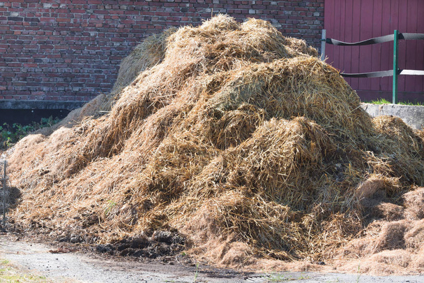 Hromadu hnoje na farmě - Fotografie, Obrázek