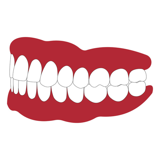zubní protézy s bílými zuby - Vektor, obrázek
