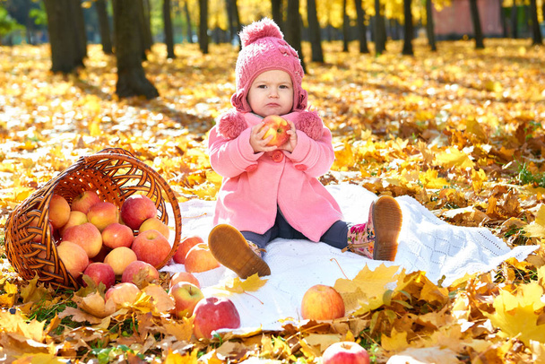 fille enfant dans le parc d'automne avec panier de pommes, beau paysage en saison d'automne avec des feuilles jaunes
 - Photo, image
