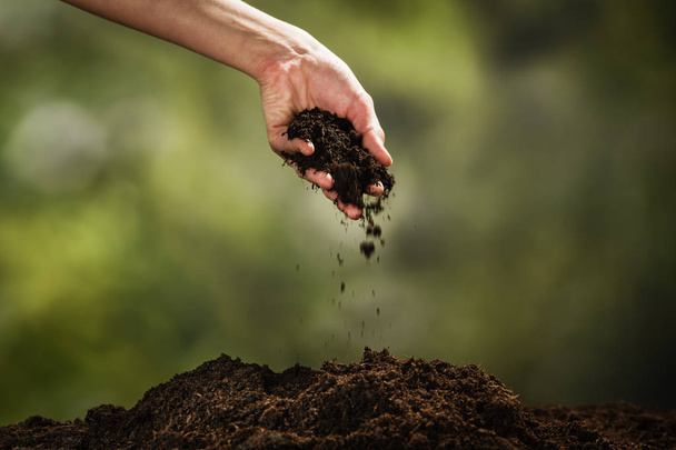 Planting a small plant on pile of soil - Foto, afbeelding