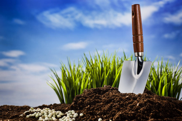 Planting a small plant on pile of soil - Foto, Imagen