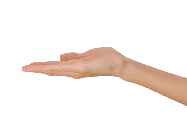 isolierte leere offene weibliche Hand in einer Position auf weißem Hintergrund - Foto, Bild