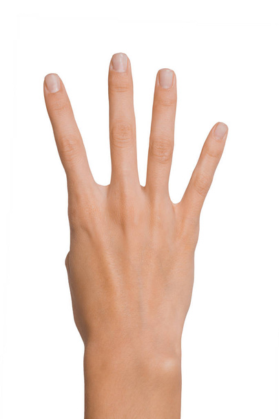 Geïsoleerde lege open vrouw vrouwelijke hand in een positie van nummer vier op een witte achtergrond - Foto, afbeelding