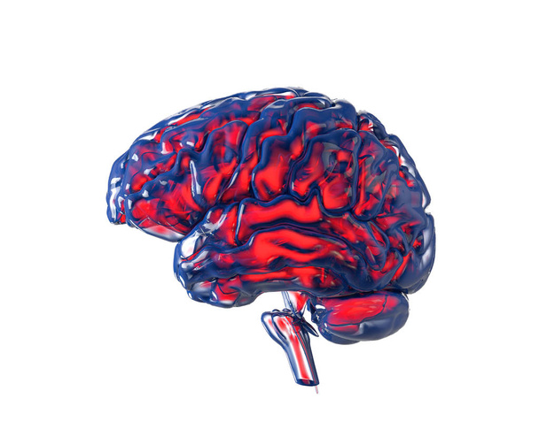 Cérebro humano com chanel de transparência, isolado em branco. Conceito
 - Foto, Imagem
