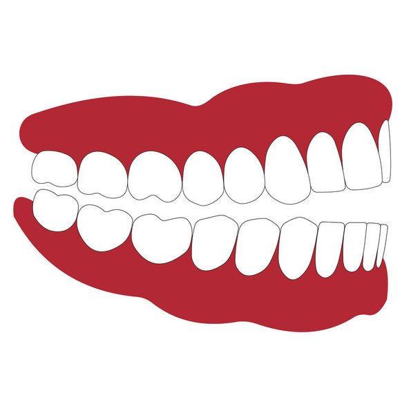 ανοιχτό το στόμα δεν έχει κλείσει τα δόντια - Διάνυσμα, εικόνα