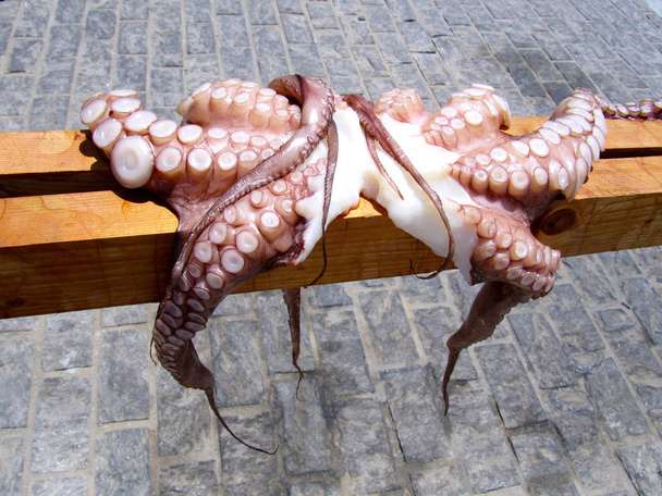 A pink octopus with large tentacles to dry on a wooden pole - Photo, Image