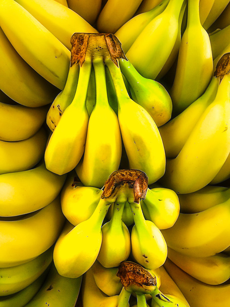 Manojos de plátanos
 - Foto, Imagen