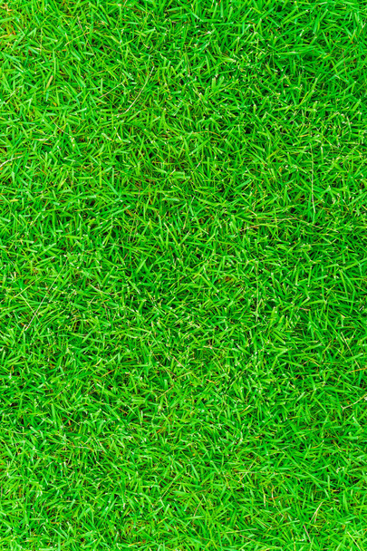 Green fresh grass background from above, Natural object - Foto, immagini