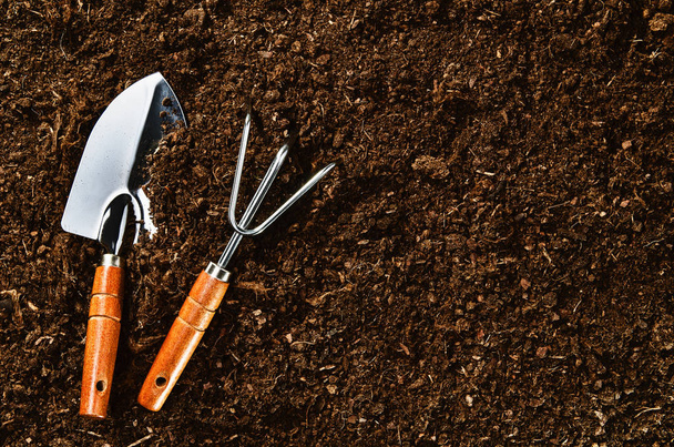 Working in the garden, planting a plant. Soil top view. - Fotoğraf, Görsel