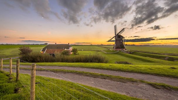 Holenderski drewniany wiatrak w trawiasta krajobraz mleczne  - Zdjęcie, obraz