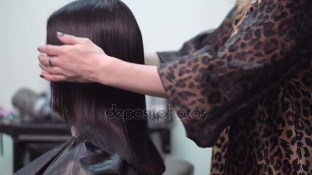Peluquería peinando el cabello en un salón de belleza
 - Metraje, vídeo