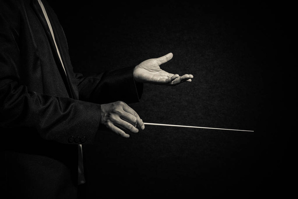 Orchestra conductor hands - Photo, Image