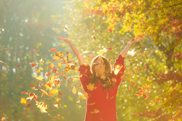 Радостная девушка веселится с листьями в осеннем парке
. - Фото, изображение
