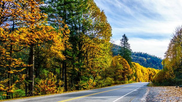  Fraser の谷、Bc、カナダに秋の色します。 - 写真・画像