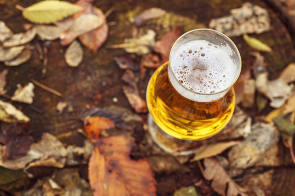 Bier in de herfst bos - Foto, afbeelding