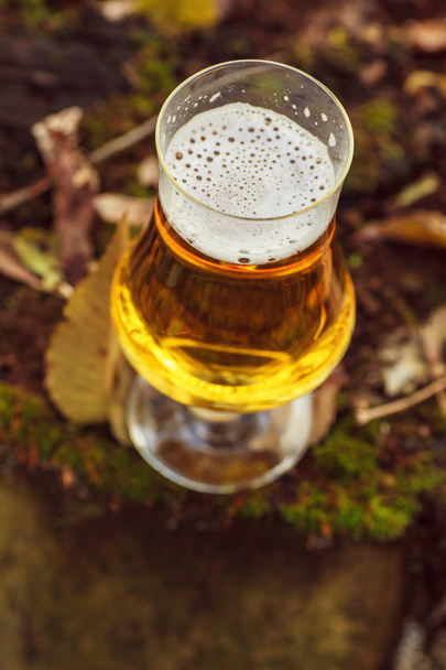 Пиво в осінньому лісі
 - Фото, зображення