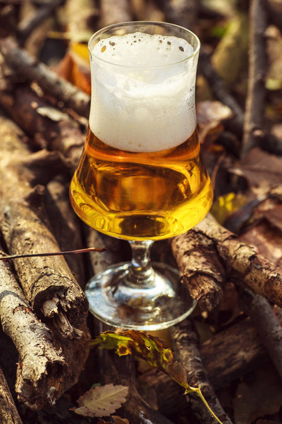 Пиво в осінньому лісі
 - Фото, зображення