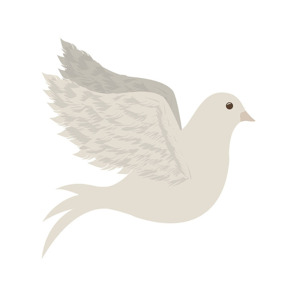 平和鳩のアイコン画像 - ベクター画像
