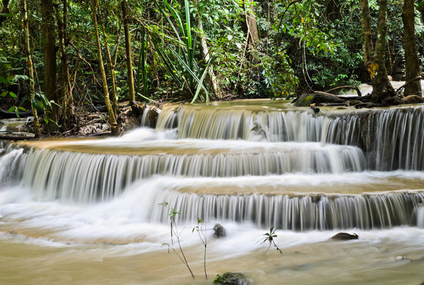 熱帯熱帯雨林の滝 - 写真・画像