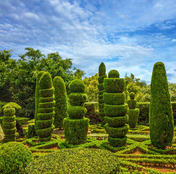 Ботанічний сад Монте, Фуншал, Мадейра, Португалія - Фото, зображення