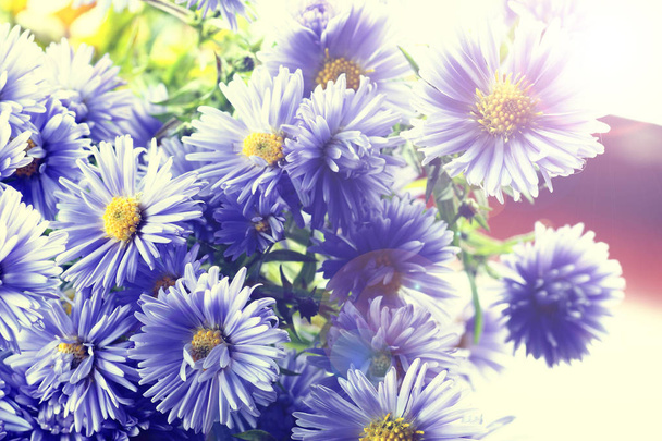 bouquet de fleurs sauvages anneaux
 - Photo, image