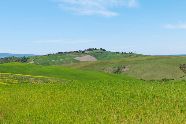 Tipik Tuscany manzara bahar - Fotoğraf, Görsel