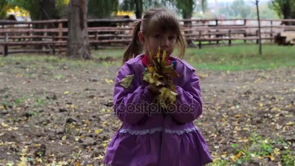 Malá holčička vyvolá listy nahoru s dobré pocity v nádherného parku - Záběry, video