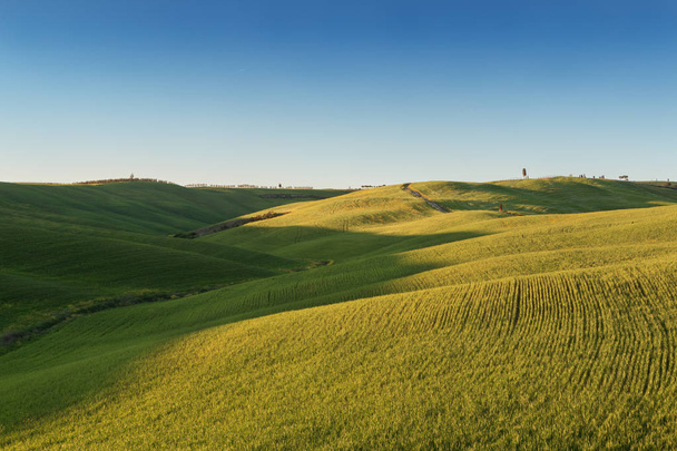 Paysage typique de la Toscane, collines verdoyantes printemps
 - Photo, image