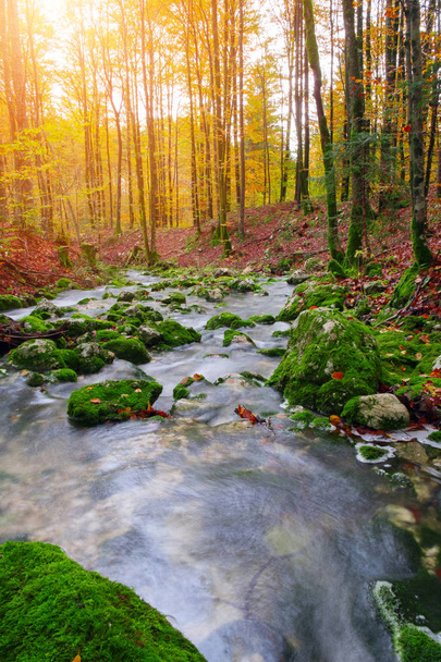 Cordilheira na floresta de outono no parque nacional de Triglav
 - Foto, Imagem
