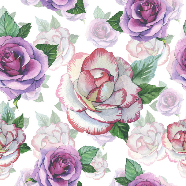Wildflower rose flower pattern in a watercolor style isolated. - Foto, Imagen