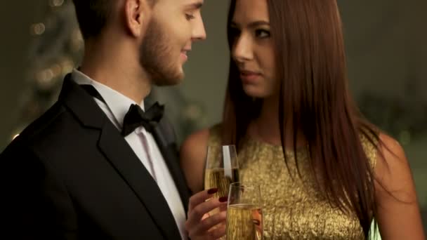 Attraente giovane donna e il suo bel fidanzato festeggiano il nuovo anno a casa
. - Filmati, video